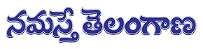 Lost Found Advertisement in Namasthe Telangana